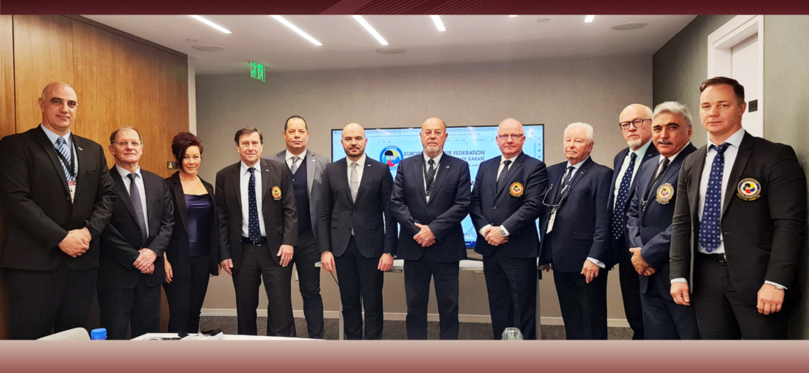 EKF Executive Committee reviews situation of Karate in Europe